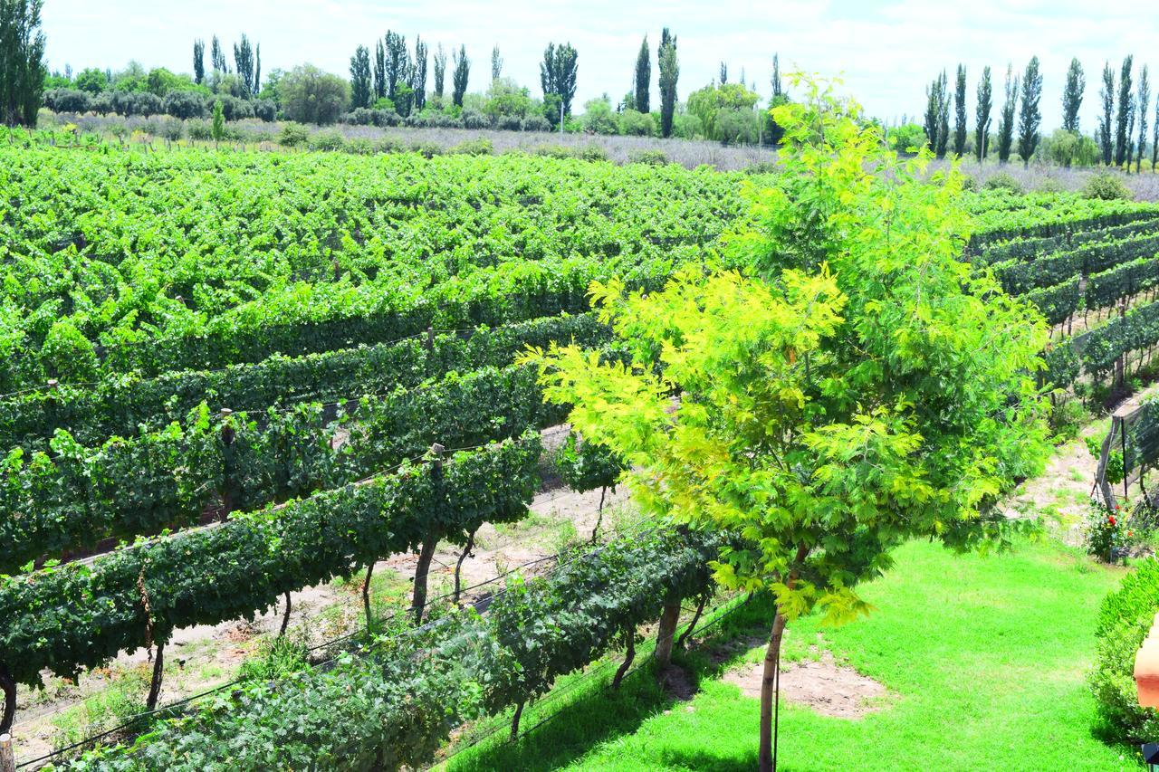 Chaglasian Wine & Suites San Rafael  Buitenkant foto
